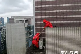 警惕马蜂伤人！马蜂在居民家内“安家” 消防员紧急处置图片