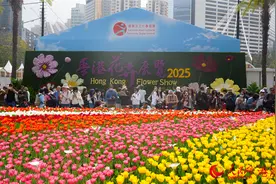 组图｜繁花映春日，2025年香港花展开幕图片