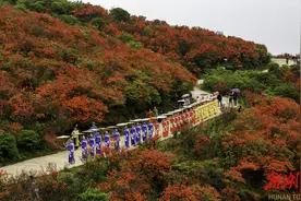 五一“湘”去哪儿⑧｜杜鹃花海中还有机器人?阳明山“和”文化生态旅游节邀你玩“花样”图片