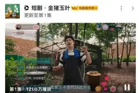 周星驰出品短剧《金猪玉叶》上线，1小时播放量破百万，口碑两极分化图片