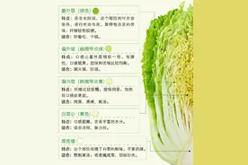 冬天吃“大白菜”的理由，这两个就够了图片
