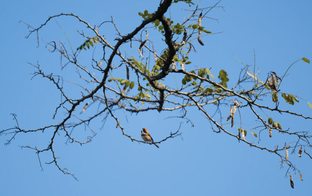 无锡最新追“星”指南，速收藏！