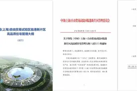 临港新片区数字家庭建设试点被评为完成等级试点地区图片