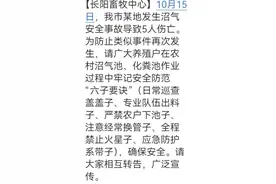 宜昌村民清理猪圈掉入化粪池，4人施救滑入池内！5人均遇难图片