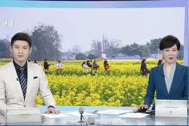 连休5天、7天、9天 多地中小学、高校施行春假或秋假