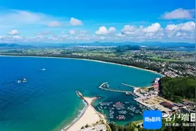 海南周刊丨海南餐桌鱼位图片