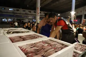 温岭“第一网”渔获物上岸 鱼贩市场里抢着买海鲜图片