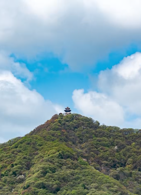 寄情山海间！山西的春天热烈登场
