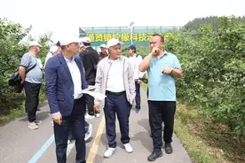 四川安岳柠檬“酸”动世界 乌兹别克斯坦客商组团取经图片