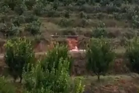 福建长汀县在水土保持核心区“挖山造田”，被通报为形式主义典型问题视频封面