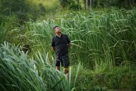陈晓卿：中国传统味道寻根，总会与中原邂逅｜顶端访谈图片