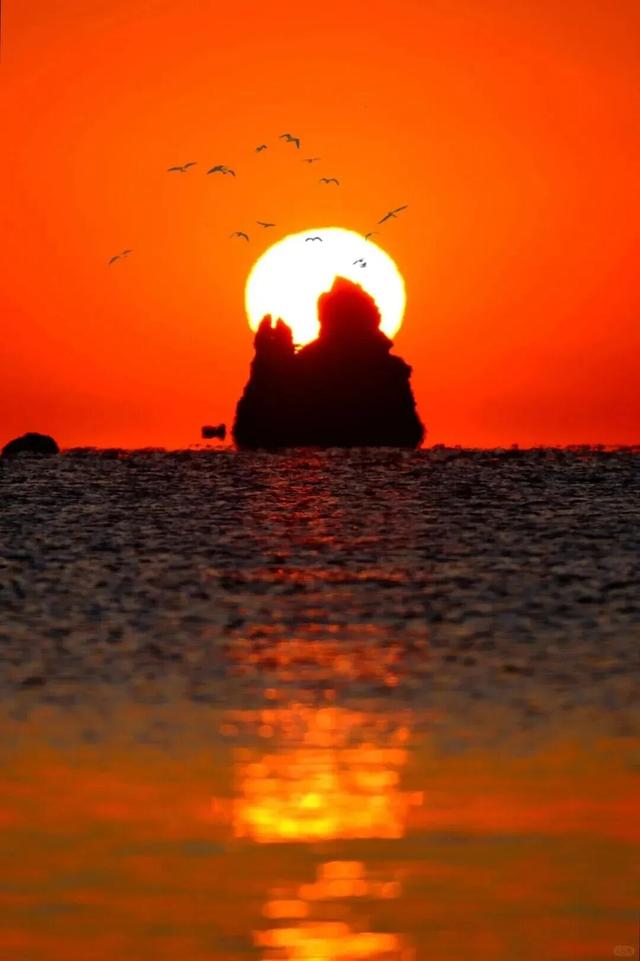 “山海交响·光影序章”青岛跨年追光指南，速看→