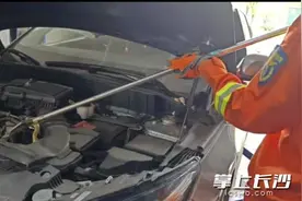 停车礼让，菜花蛇钻进车底；报警求助，消防员解除危机图片
