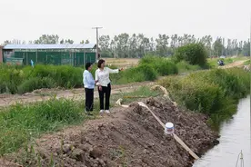 宁夏兴庆千亩水塘“爬”出产业新蓝海图片