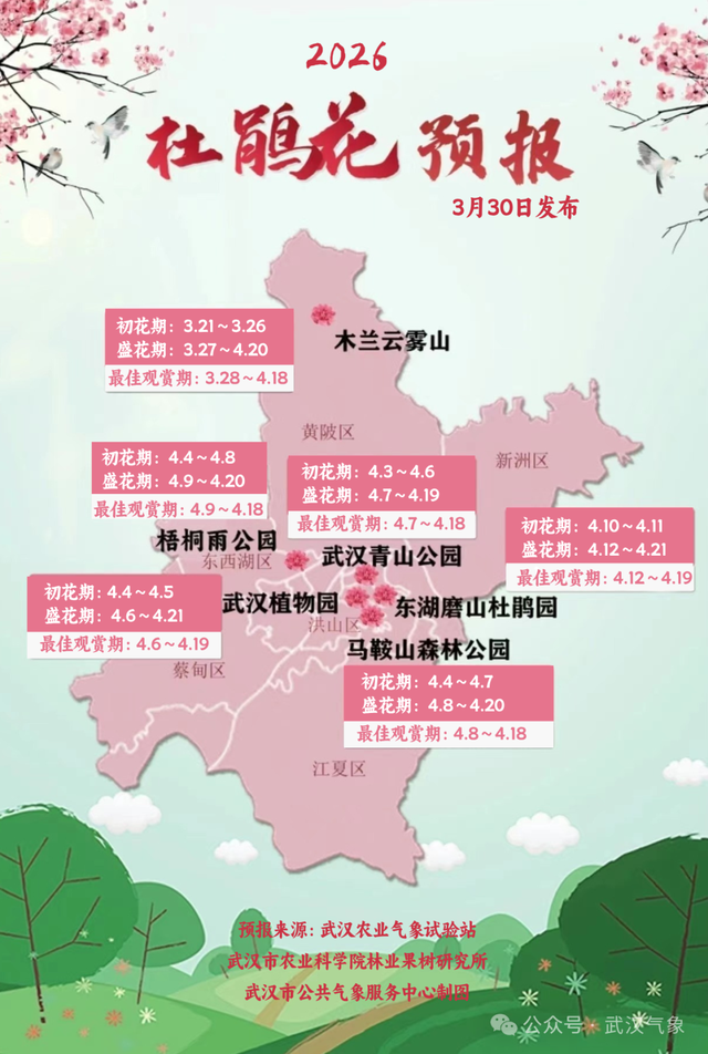 高铁票售罄！直冲29℃，都是晴天，全城爆花迎客