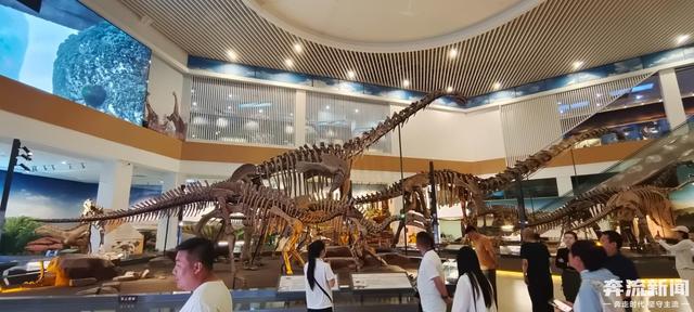 一部手机游甘肃丨刘家峡恐龙馆：传承创新中续写古生物文化传播新篇章