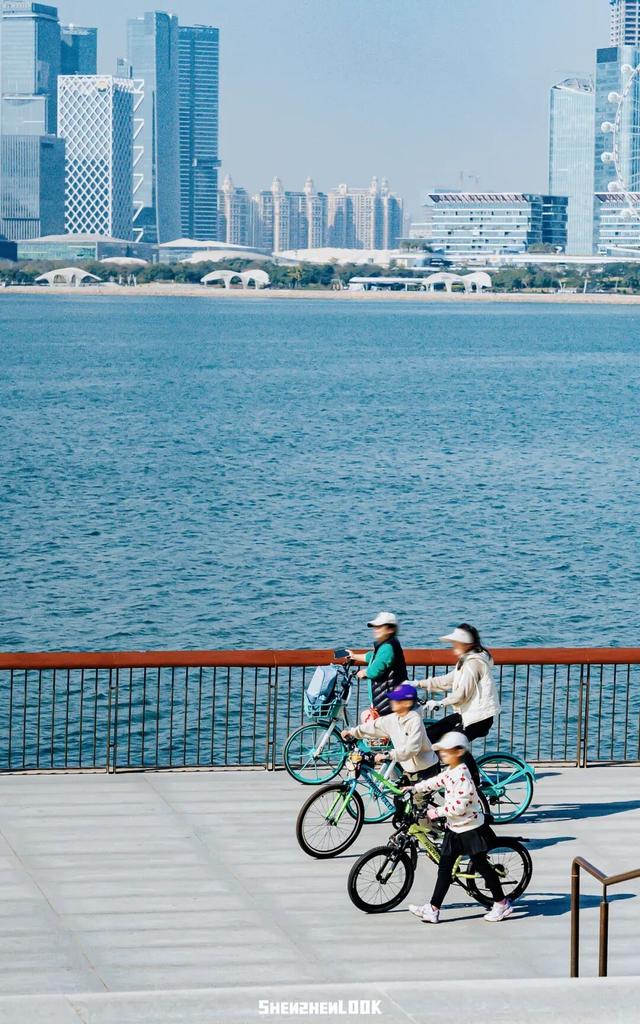 “看牛看海看夜景，深圳骑行路线精选”