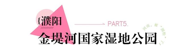 河南，被圈“粉”了！