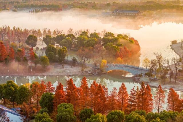 南通这里又要火了！每天清晨，不少人赶去打卡