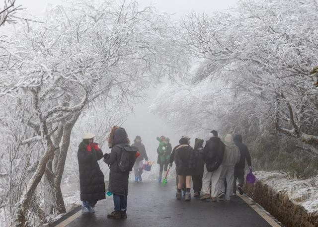 一秒入仙境！金佛山冬雪、日出、云海绝美同框