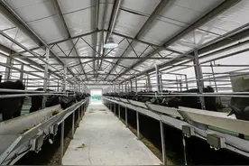 科学育种壮大养殖规模  四川威远这个基地还给黑山羊做“婚检”图片