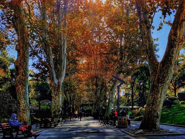 本！周！关！闭！陪伴上海人70多年，市中心知名地标有大变化↗