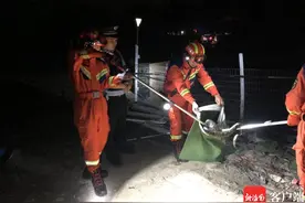 居民院里惊险2米多长蟒蛇 三亚公安消防联合救助图片