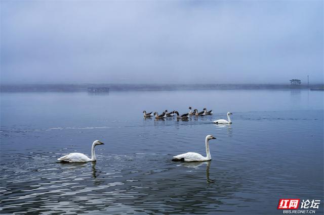 华中屋脊，秋色无边！这里是神农架