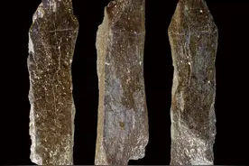 新华全媒+丨中国社科院考古学论坛公布2024年考古新发现成果(2)图片