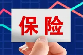 委托投保出了错，损失由谁来承担？图片