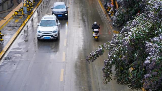 陇南康县：初雪，赠你一城清白