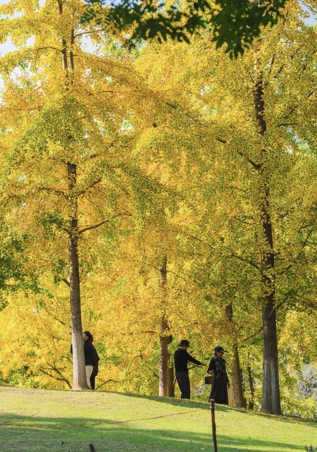 热干面遇见蒸烧卖，开启一场跨越2000公里的季节约会