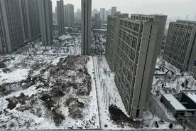 外地人2个月内狂买4650套房，哈尔滨楼市爆了！“小金豆”购买力太吓人，当地政府出手图片