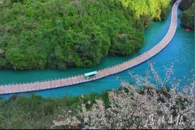 点绿为金 为支点建设添彩——恩施州奋力谱写绿色崛起新篇章图片