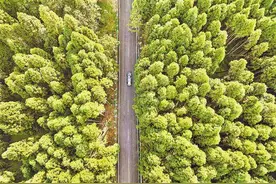 重庆涪陵：升级一条乡村公路 畅通三大避暑景区图片