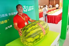 近200斤“瓜王”刷新历史纪录，背后有哪些种植密码？图片