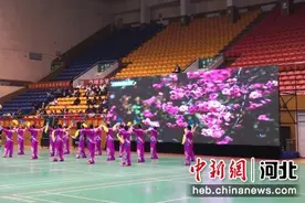 2024年全国老年人健身球操交流活动在河北邢台举行图片