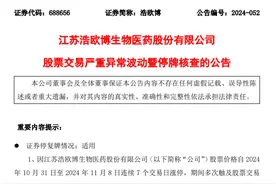 “停牌核查”重出江湖！ 这轮牛市第一只停牌股出现图片