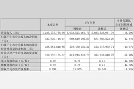 营收、净利润双双下滑，山东海化上半年净利润约3.48亿元图片