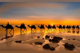 法国游客组团开房车游中国丝绸之路：太美了还要再去图片