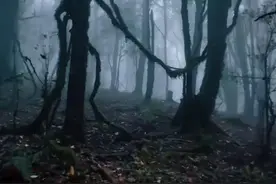 爆火的哀牢山到底有多凶险？曾发生多起人员遇难悲剧图片