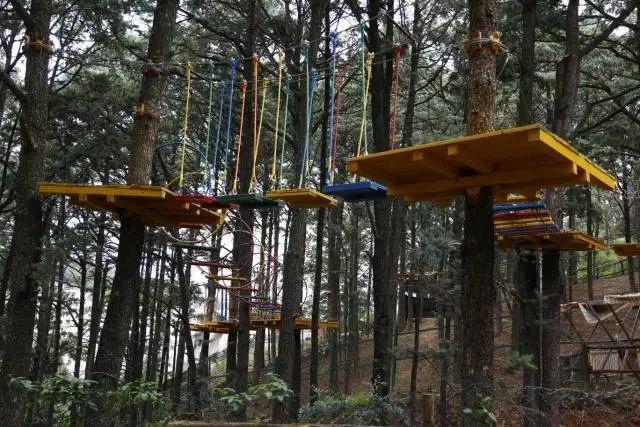 【珠江源头 旅居曲靖】沾益区：西平街道九龙山涧开门营业 康养旅居开启清凉之旅