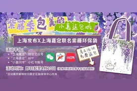 嘉定购车补贴又来了！你申请了吗？图片