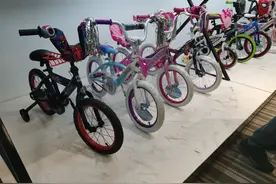 沃尔玛最大自行车供应商想回到祖国闯一闯图片