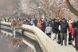 北京朝阳二道沟滨水空间迎“花季”，十里堡水映桃花次第绽放图片