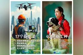 观澜亭｜17个新职业官宣！如何端稳“未来饭碗”图片