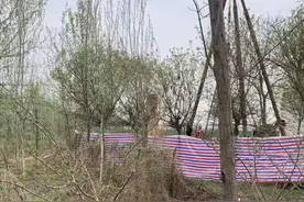 陕西蒲城失踪24年女子确定遇害 嫌疑人未被批捕，家属发声图片