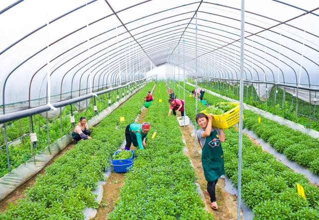 黔图多彩|且兰古都振翅飞,黄平“串”起新图景