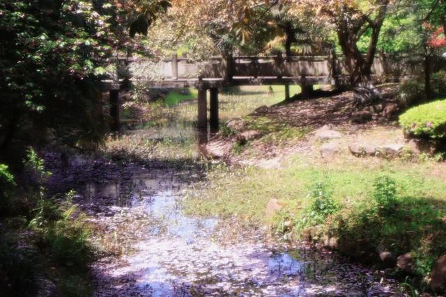 在川大，这是我的珍藏地！