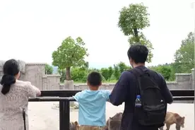 高铁赋能、场景焕新：文旅消费新活力加速释放图片